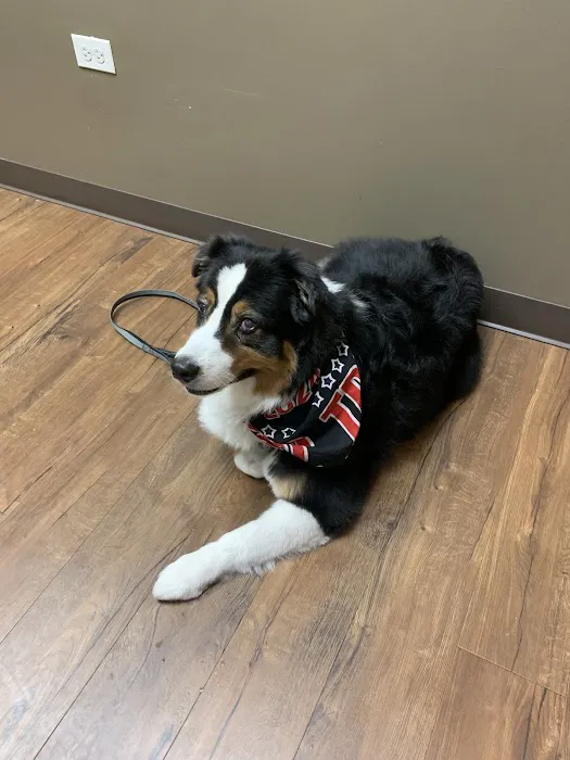 Rowland Animal Clinic Picture 5