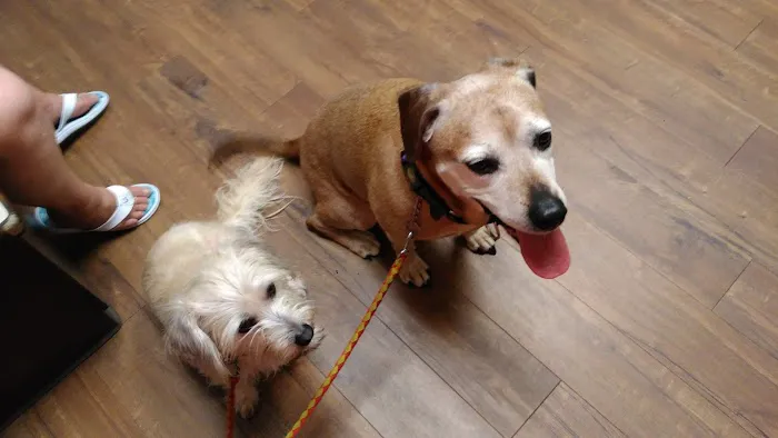 Rowland Animal Clinic Picture 8