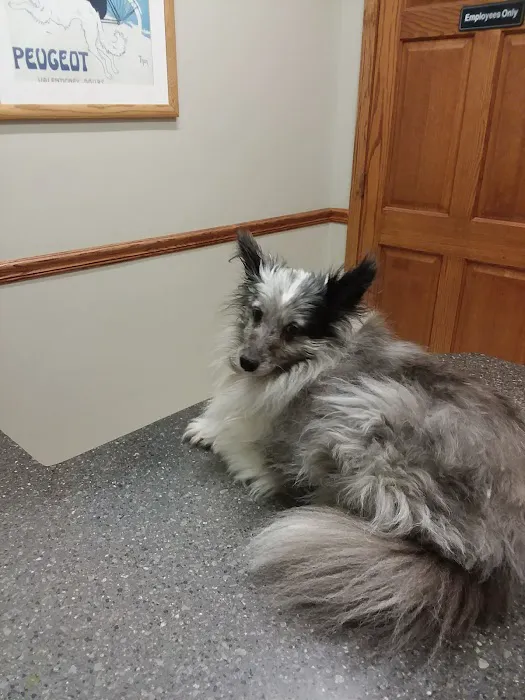 Eola Point Animal Hospital Picture 1
