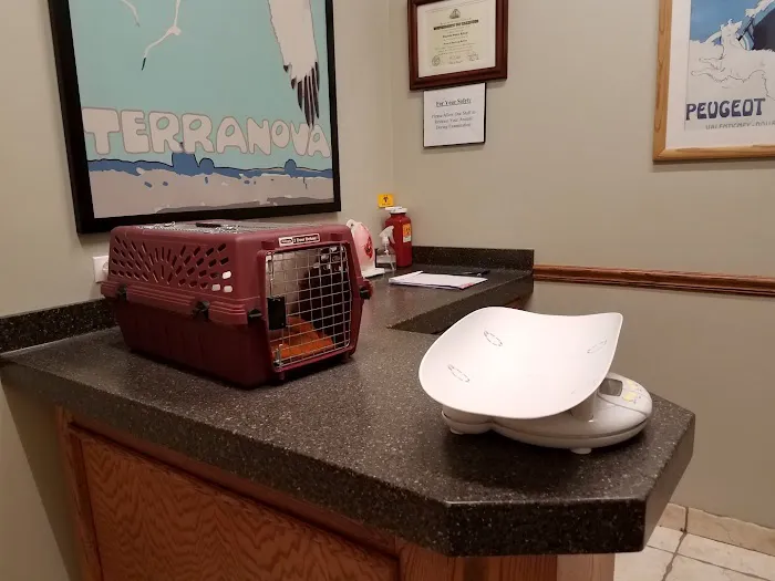 Eola Point Animal Hospital Picture 4