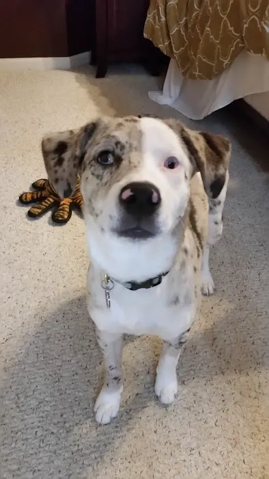 Eola Point Animal Hospital Picture 7