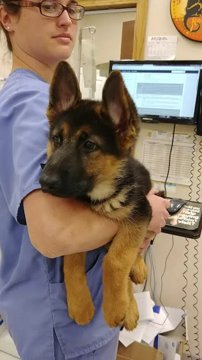 Eola Point Animal Hospital Picture 5