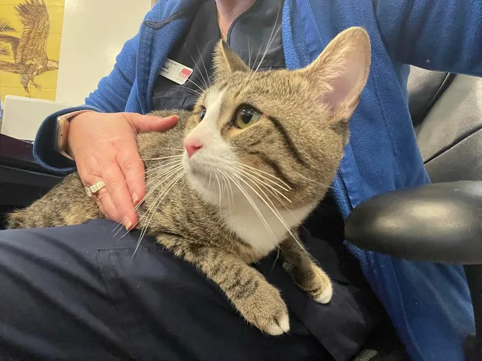 Oakton Animal Hospital Picture 2