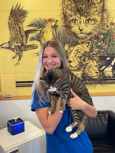 Oakton Animal Hospital Picture 9