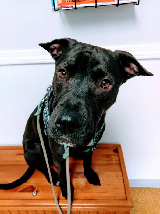 Spring Valley Veterinary Clinic Picture 1