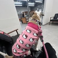 Veterinary Emergency Group ico