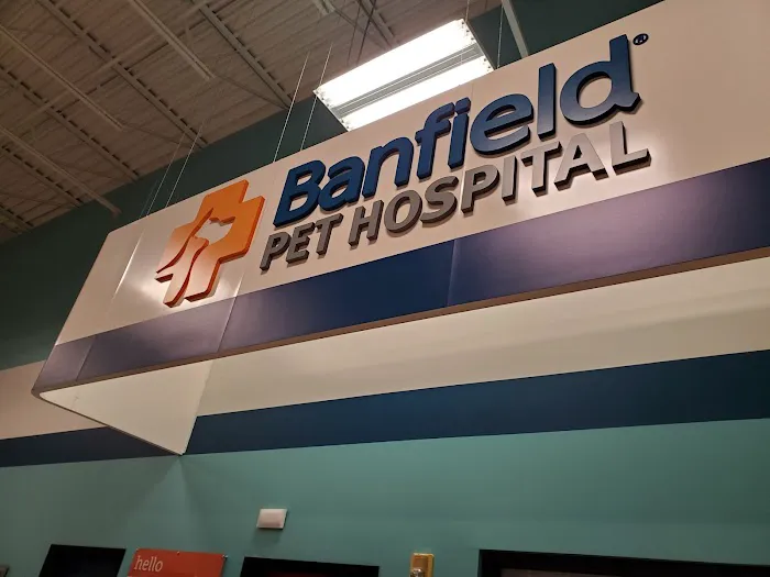 Banfield Pet Hospital Picture 1