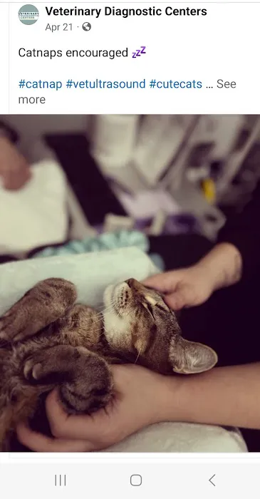 Veterinary Diagnostic Centers - Schaumburg Picture 3