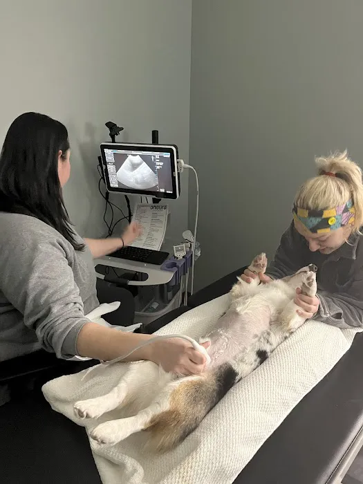 Veterinary Diagnostic Centers - Schaumburg Picture 5