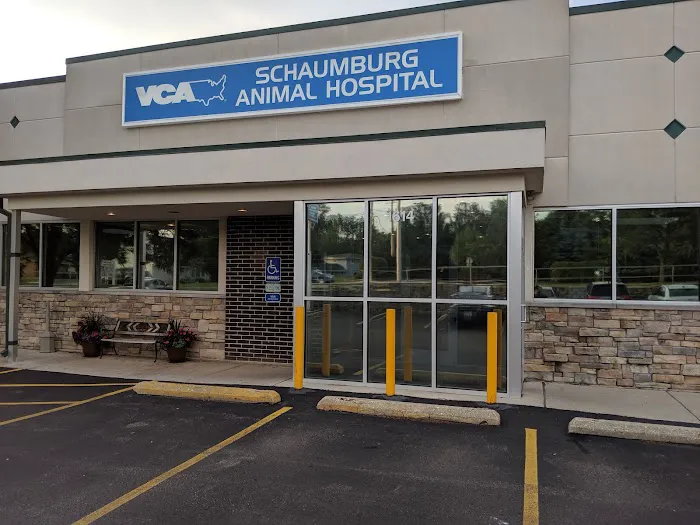 Schaumburg Veterinary Hospital: Bloomberg Katie DVM Picture 1