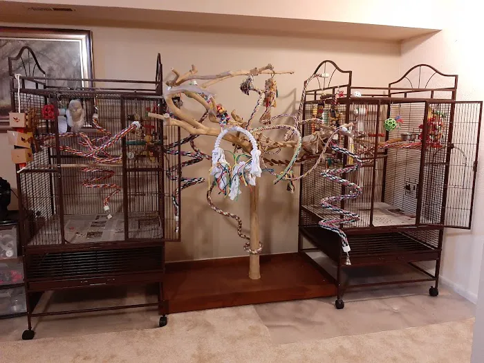 Army Trail Animal Hospital LLC Picture 4