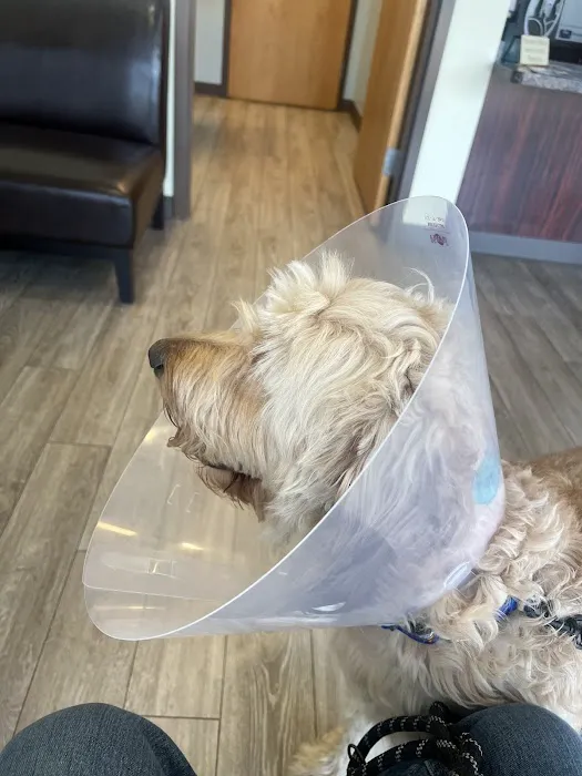 Army Trail Animal Hospital LLC Picture 1