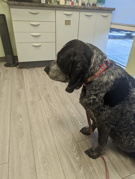 Army Trail Animal Hospital LLC Picture 2