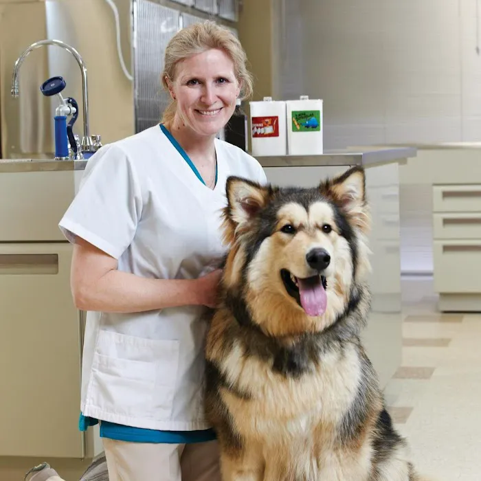 Army Trail Animal Hospital LLC Picture 10