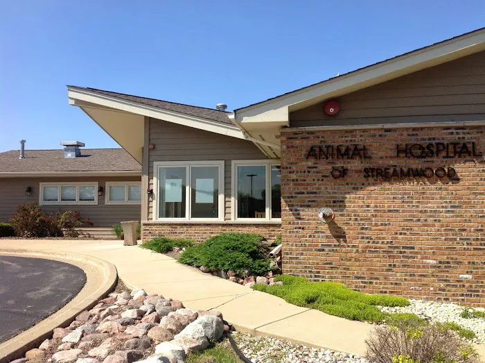 Animal Hospital of Streamwood Picture 7