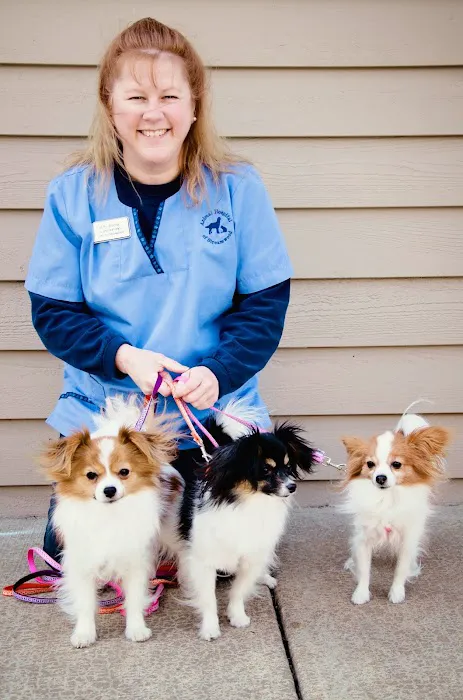 Animal Hospital of Streamwood Picture 10