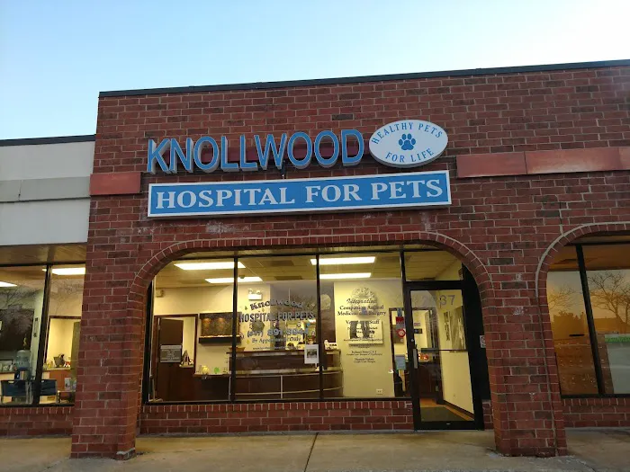 Hometown Veterinary Partners Schaumburg Picture 5