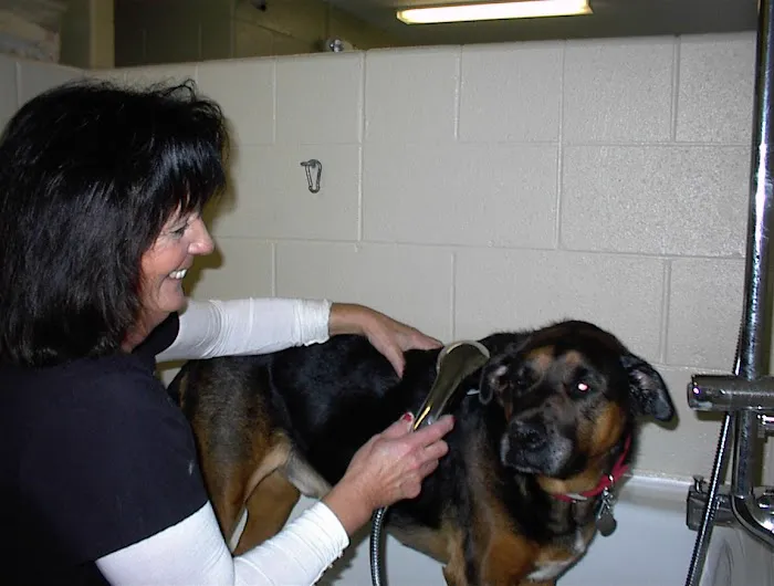 Heartland Animal Hospital, P.C. Picture 9