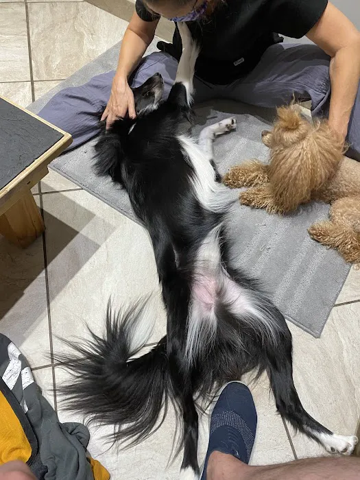 The Whole Pet Picture 8