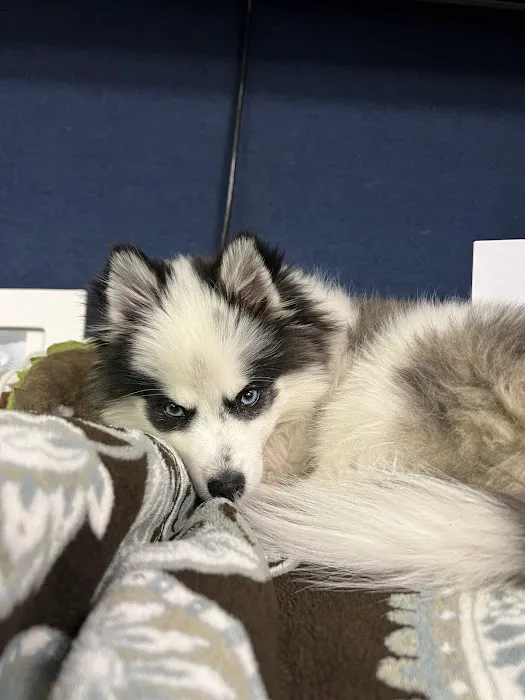 Bartlett Animal Hospital Picture 6