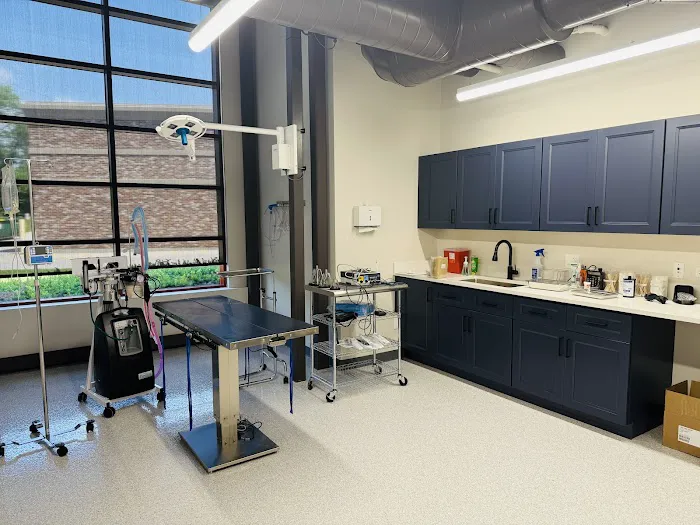 New Leaf Animal Hospital Picture 8
