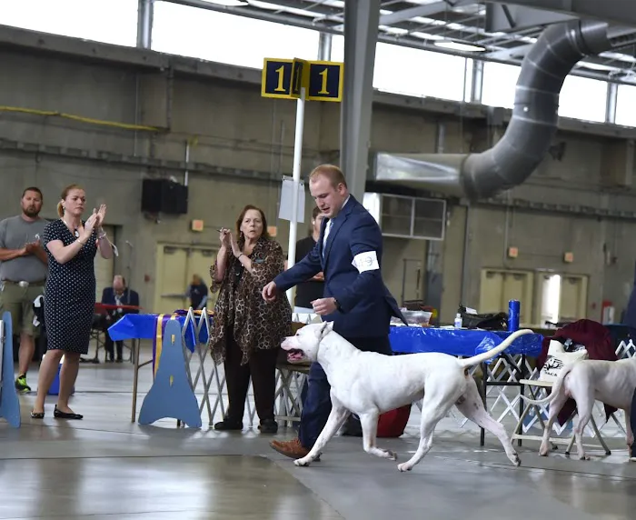Thrive Pet Healthcare - Arlington Heights Picture 6