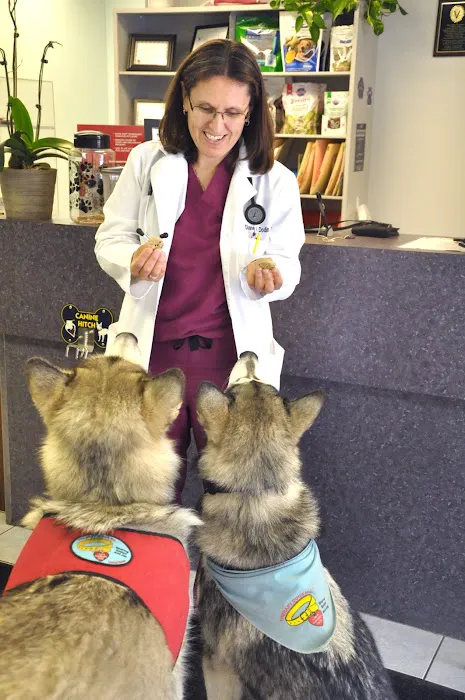 Prospect Animal Hospital Picture 7