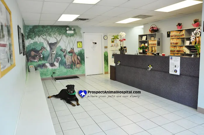 Prospect Animal Hospital Picture 8