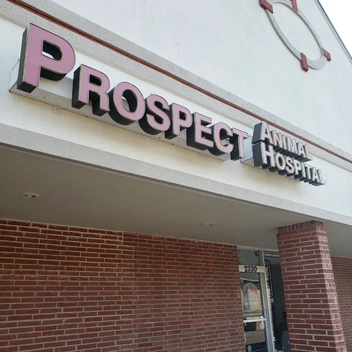 Prospect Animal Hospital Picture 9