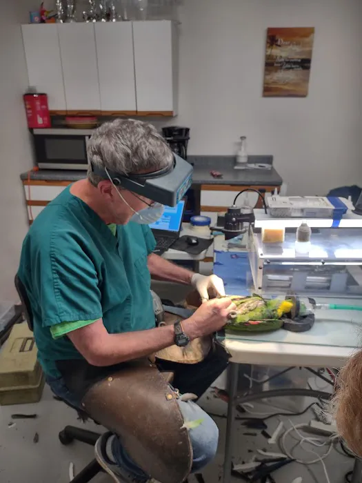 Scott E. McDonald, DVM Picture 9