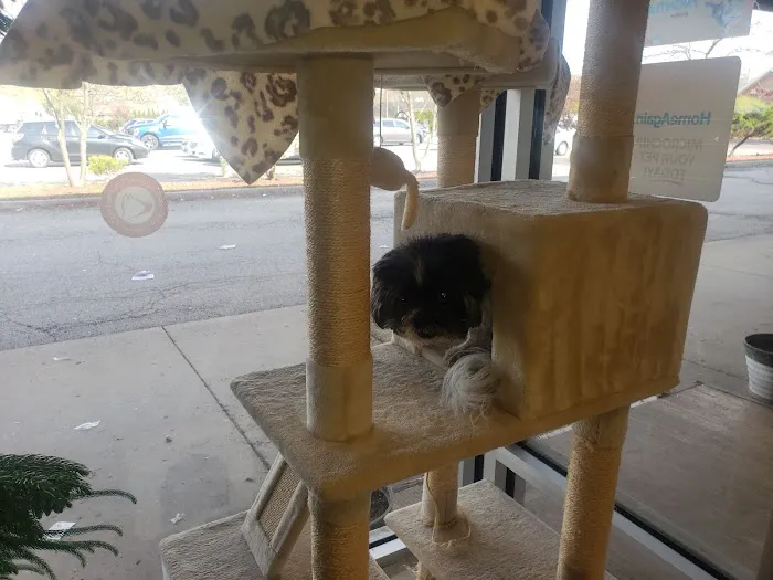 Arnett Animal Hospital Picture 6