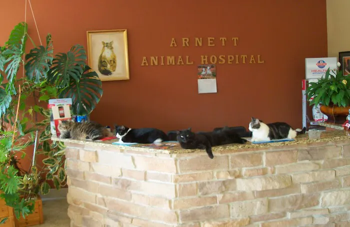 Arnett Animal Hospital Picture 9
