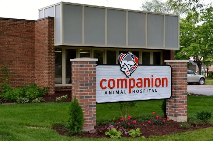 Companion Animal Hospital Mount Prospect Picture 5