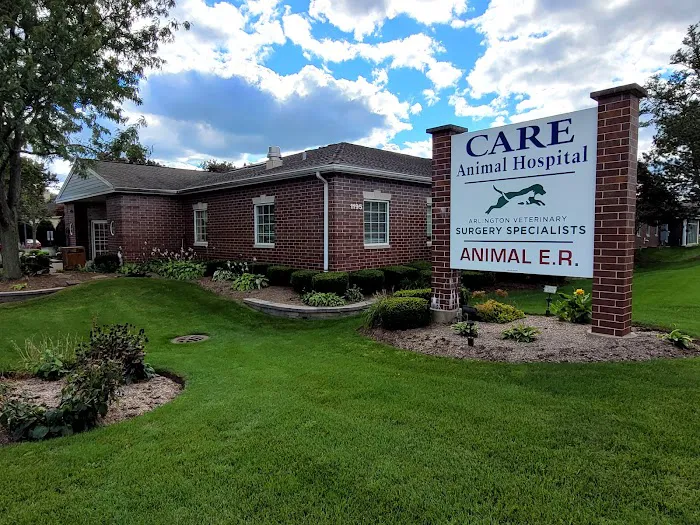 Care Animal Hospital Picture 2