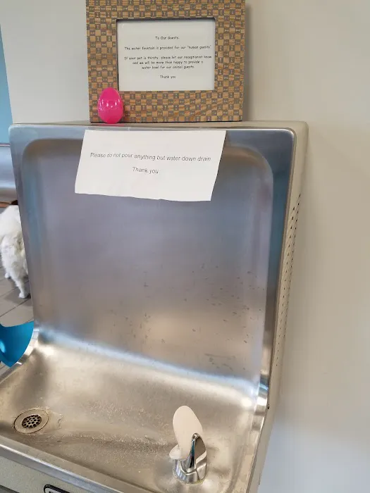 Care Animal Hospital Picture 7