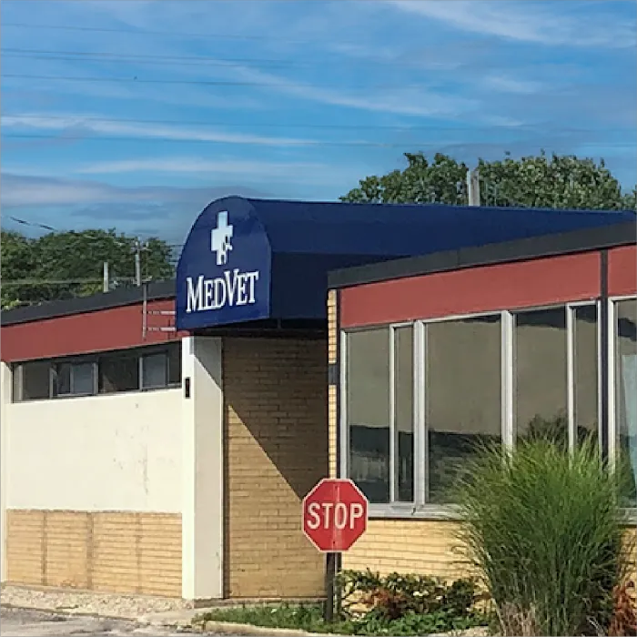 MedVet North Shore Picture 8