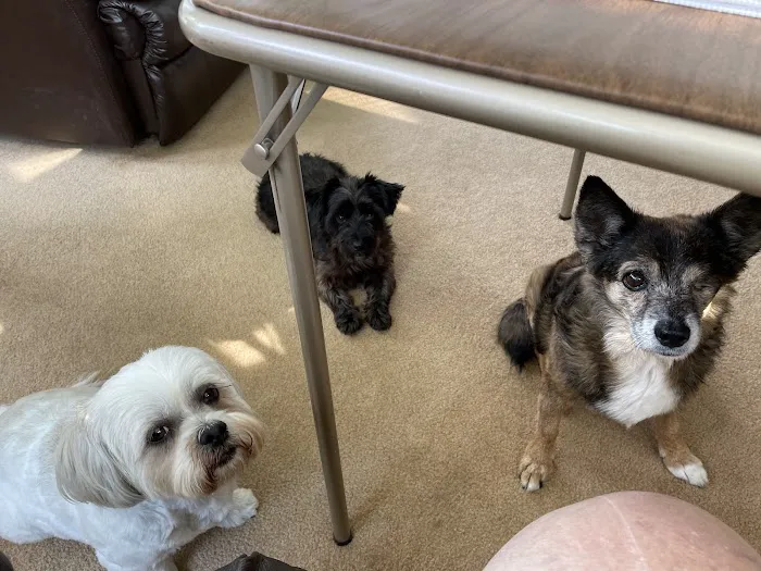 Glencoe Animal Hospital Picture 1