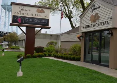 Glencoe Animal Hospital Picture 10