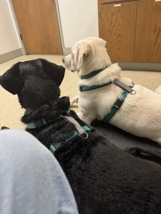 VCA Snohomish Animal Hospital Picture 4