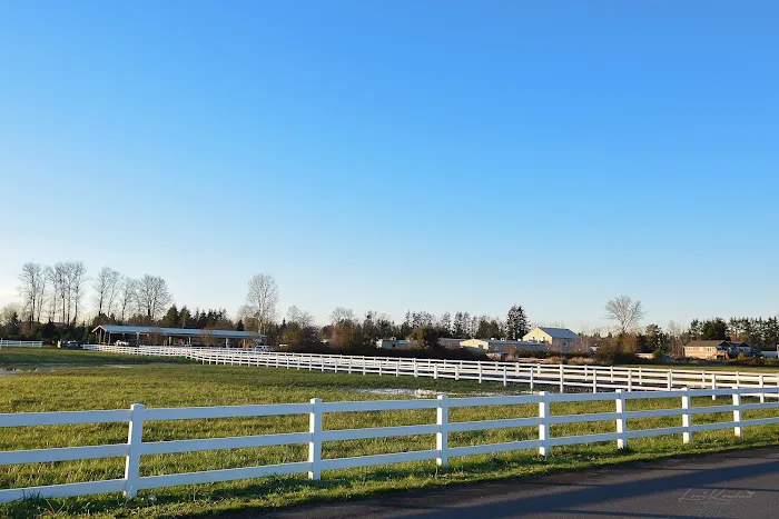 Pilchuck Veterinary Hospital - Equine Picture 1
