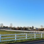 Pilchuck Veterinary Hospital - Equine