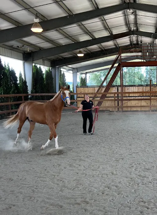 Pilchuck Veterinary Hospital - Equine Picture 2