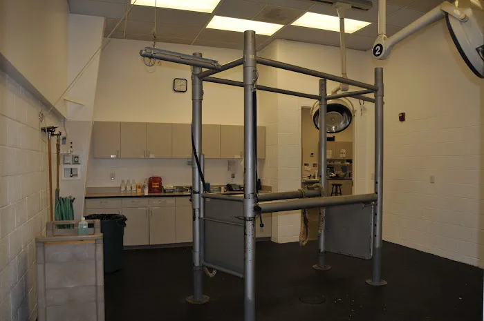 Pilchuck Veterinary Hospital - Equine Picture 3