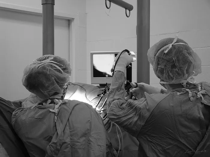 Pilchuck Veterinary Hospital - Equine Picture 7