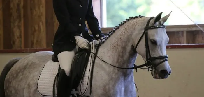 Pilchuck Veterinary Hospital - Equine Picture 5