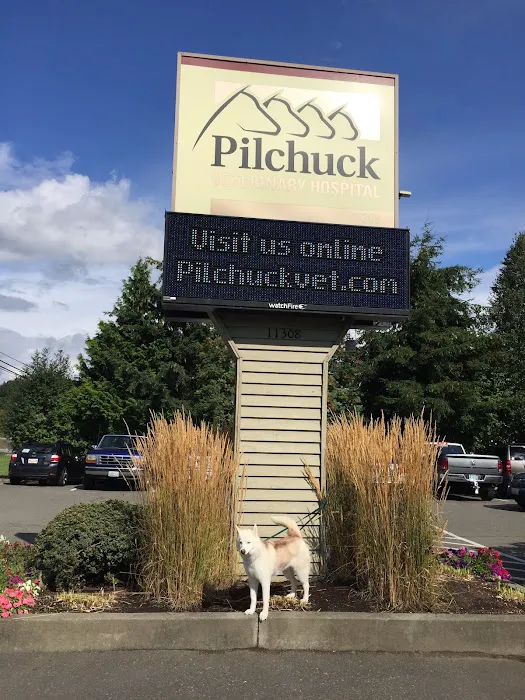 Pilchuck Veterinary Hospital - Small Animal Picture 6