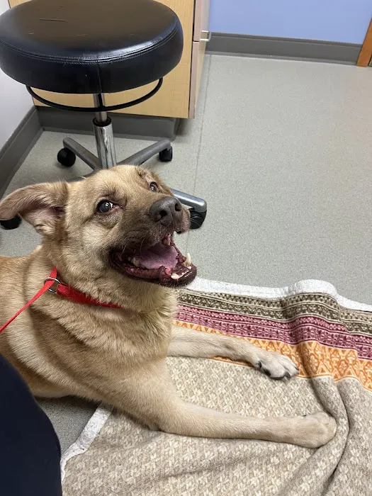 Pilchuck Veterinary Hospital - Small Animal Picture 4