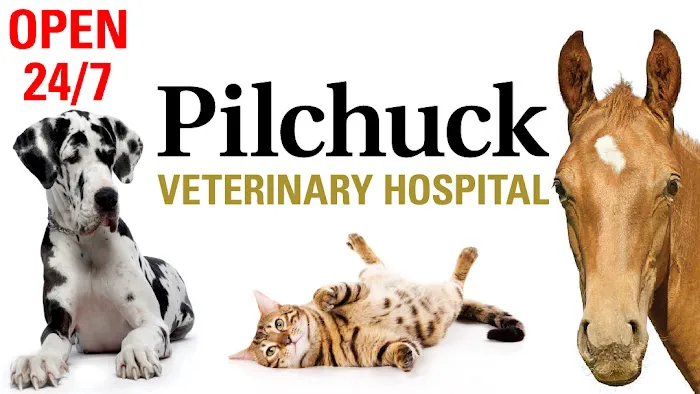 Pilchuck Veterinary Hospital - Small Animal Picture 5