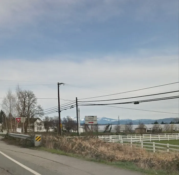 Pilchuck Vet Urgent Care Center Picture 5