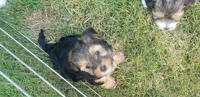 Good Neighbor Vet Picture 4